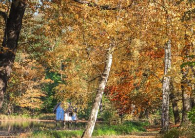 The Spreewald in autumn with hiking trail and birch trees